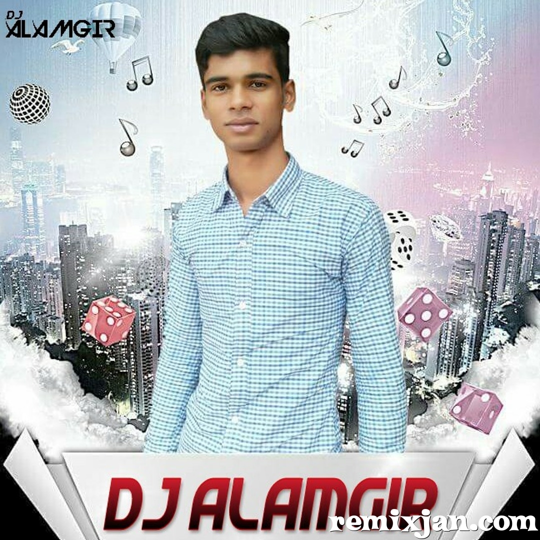 To My Ledies (Picnic Mix) DJ Alamgir